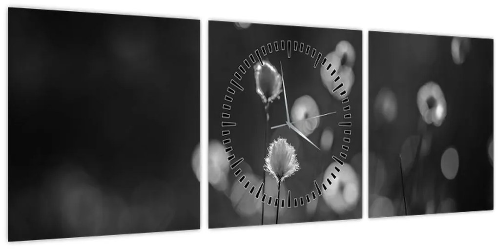 Kép - Pamutfű a réten (órával) (90x30 cm)