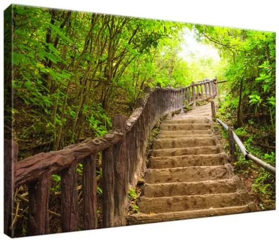 Vászonkép Thaiföldi erdőben lévő lépcső 30x20cm 2327A_1T