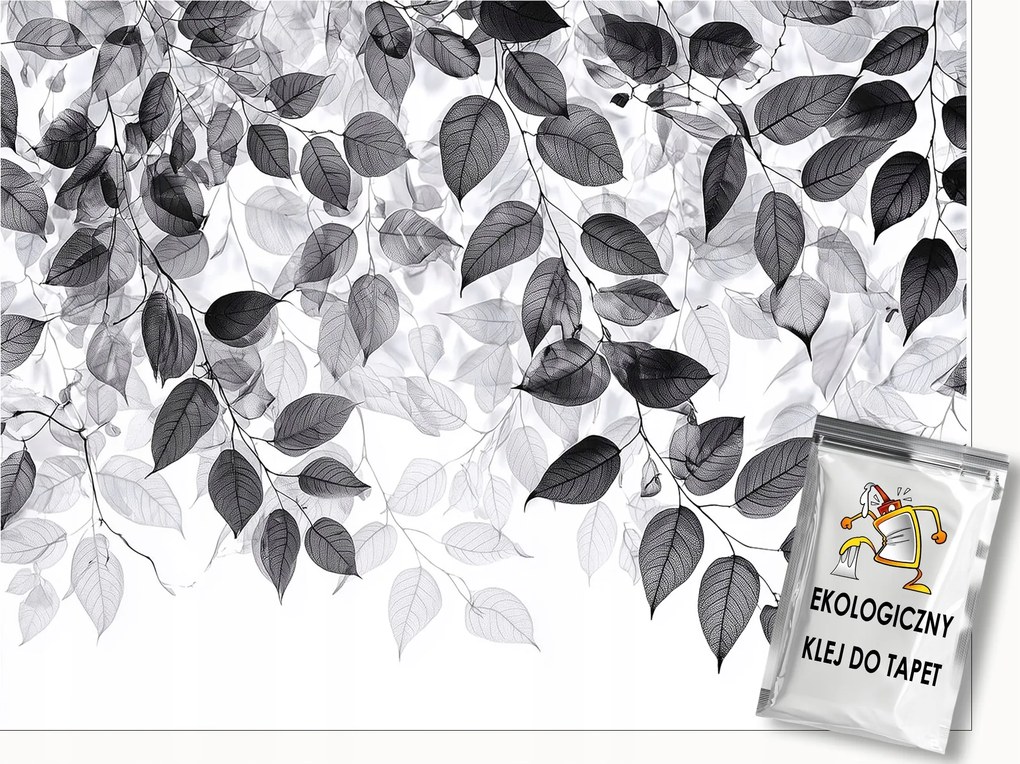 Fotótapéta Levelek Fekete-fehér Falra Akasztható Hálószoba Nappali 300x210