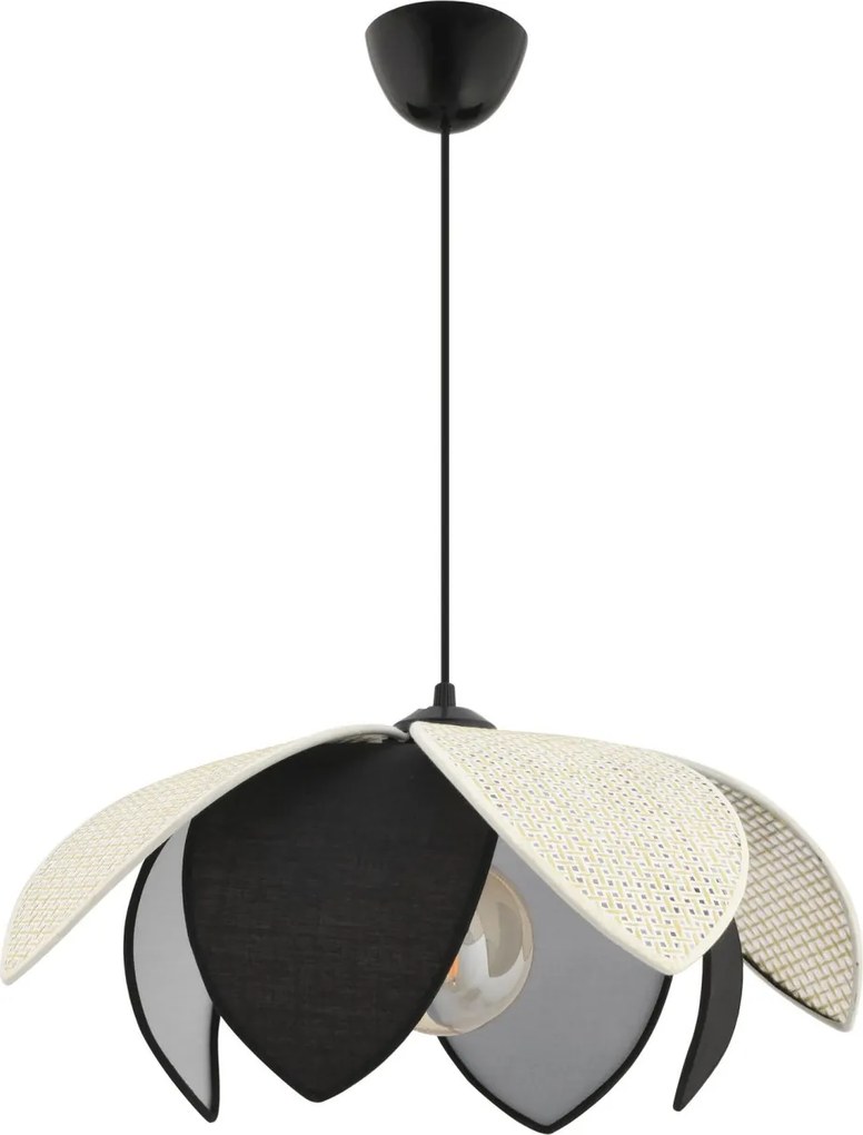 Peony Hazeran - White, Black