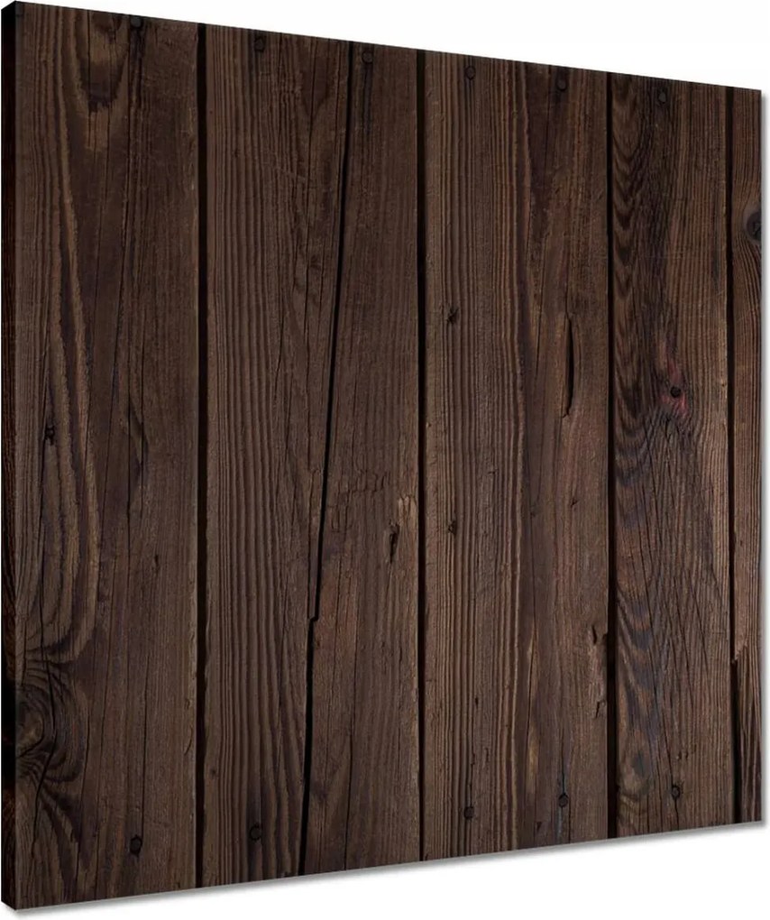 Vászonkép 50x50 Fa világ Fa