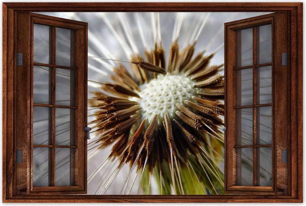 Poszterek 90x60 Pitypang Virág Virágok