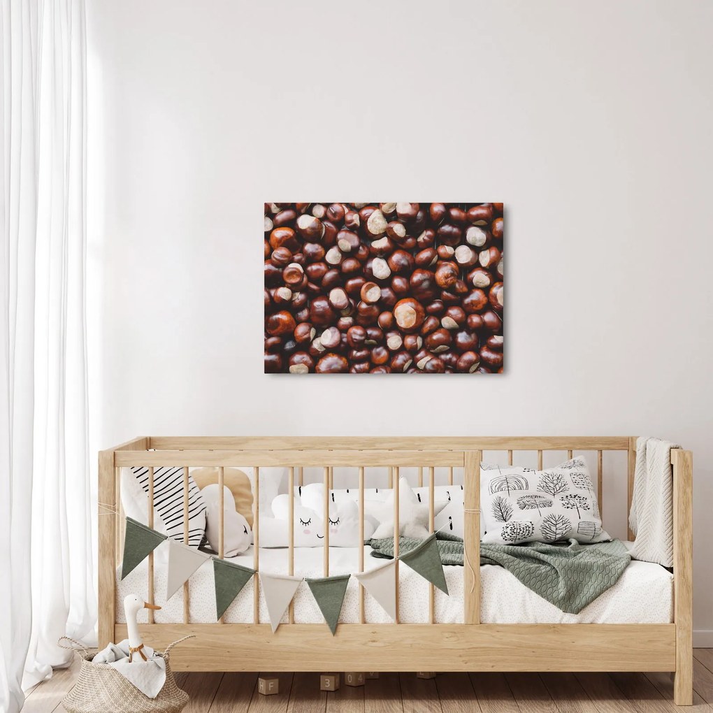 Kép - Érett gesztenye (70x50 cm)
