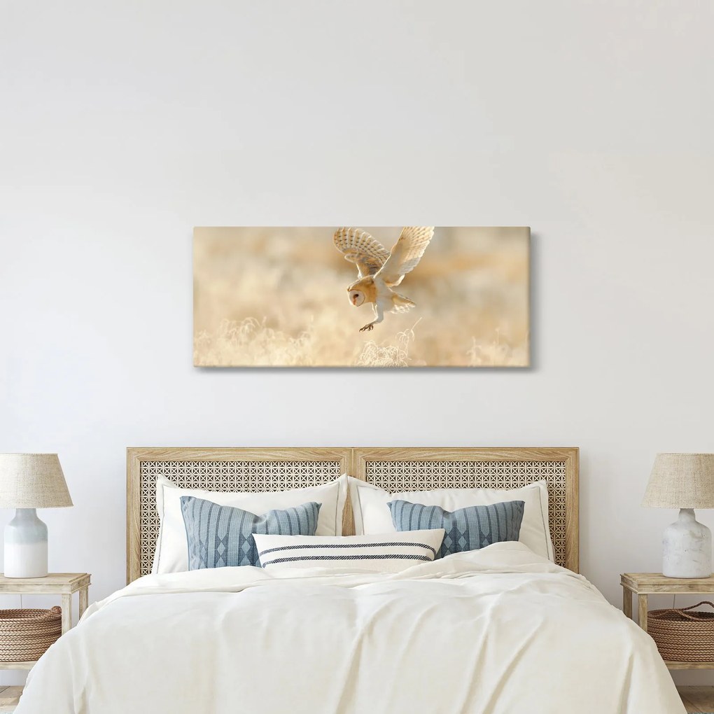Kép - Bagoly (120x50 cm)