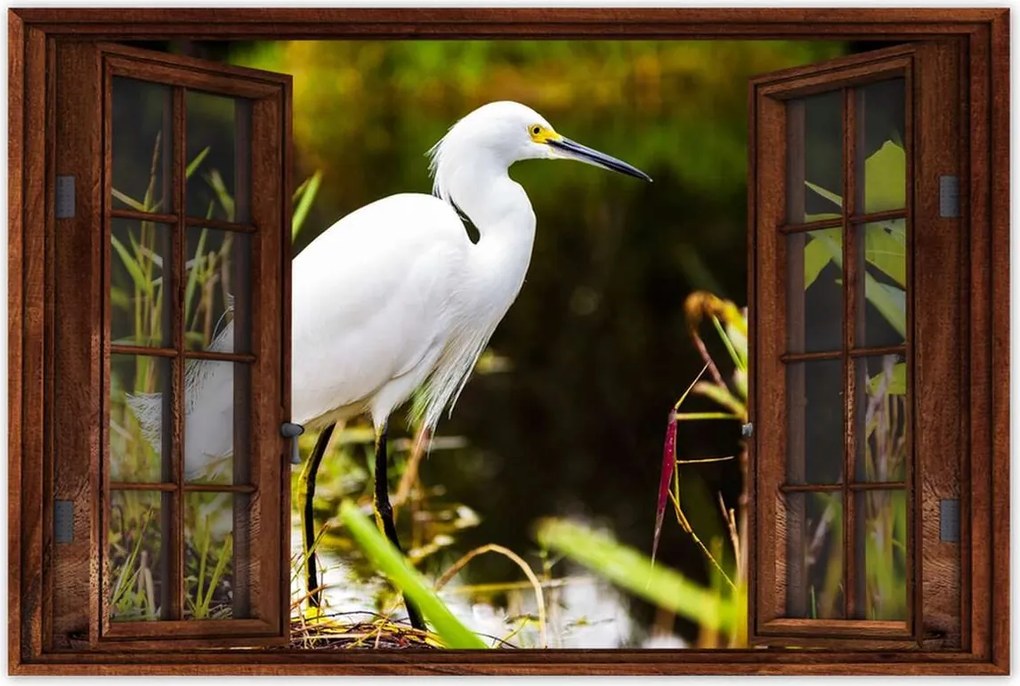 Poszterek 120x80 Kalapos madár Tájkép Kilátás