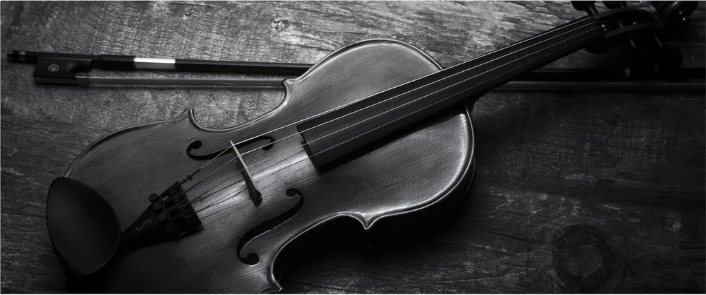 Kép - Viola (120x50 cm)