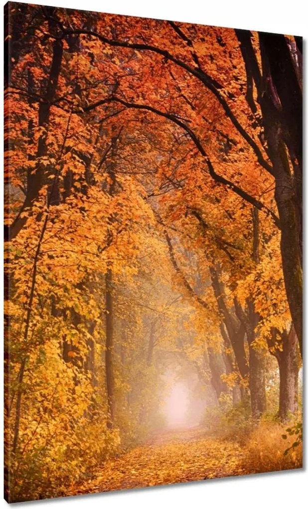 Festmények 70x100 Őszi kilátás