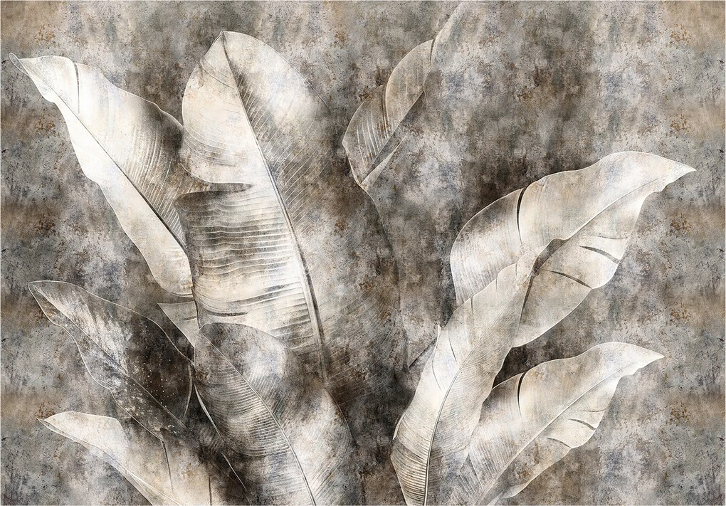 Fotótapéta Banánlevél Szürke Hálószoba Nappali Tapéta Flizelina 350x250