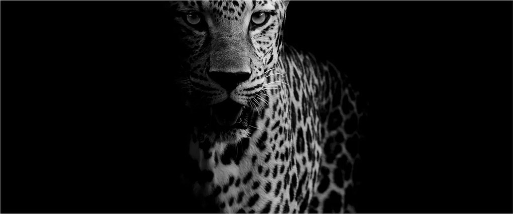 Kép - Egy leopárd portréja (120x50 cm)