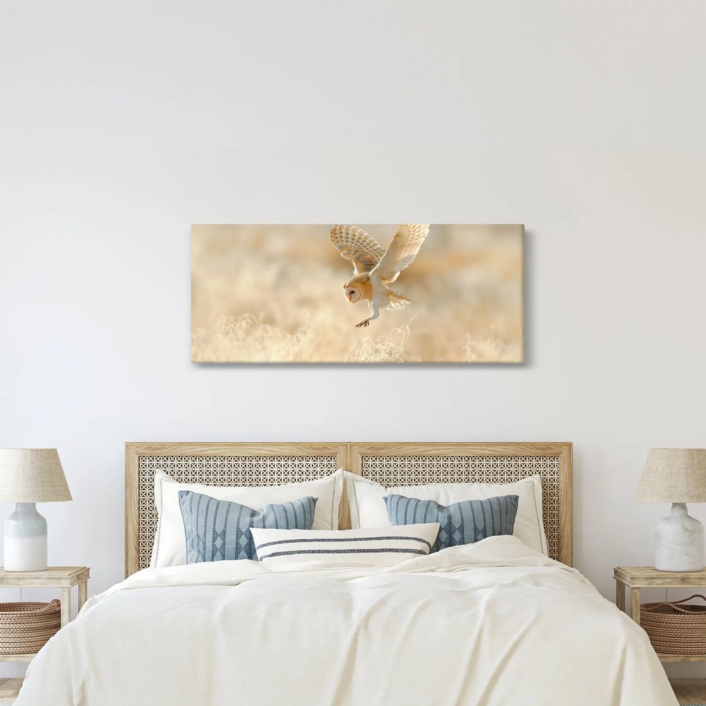 Kép - Bagoly (120x50 cm)