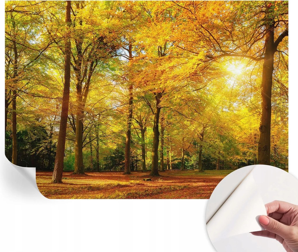 Design fali fotótapéta öntapadós Arany levelek 312x219 cm