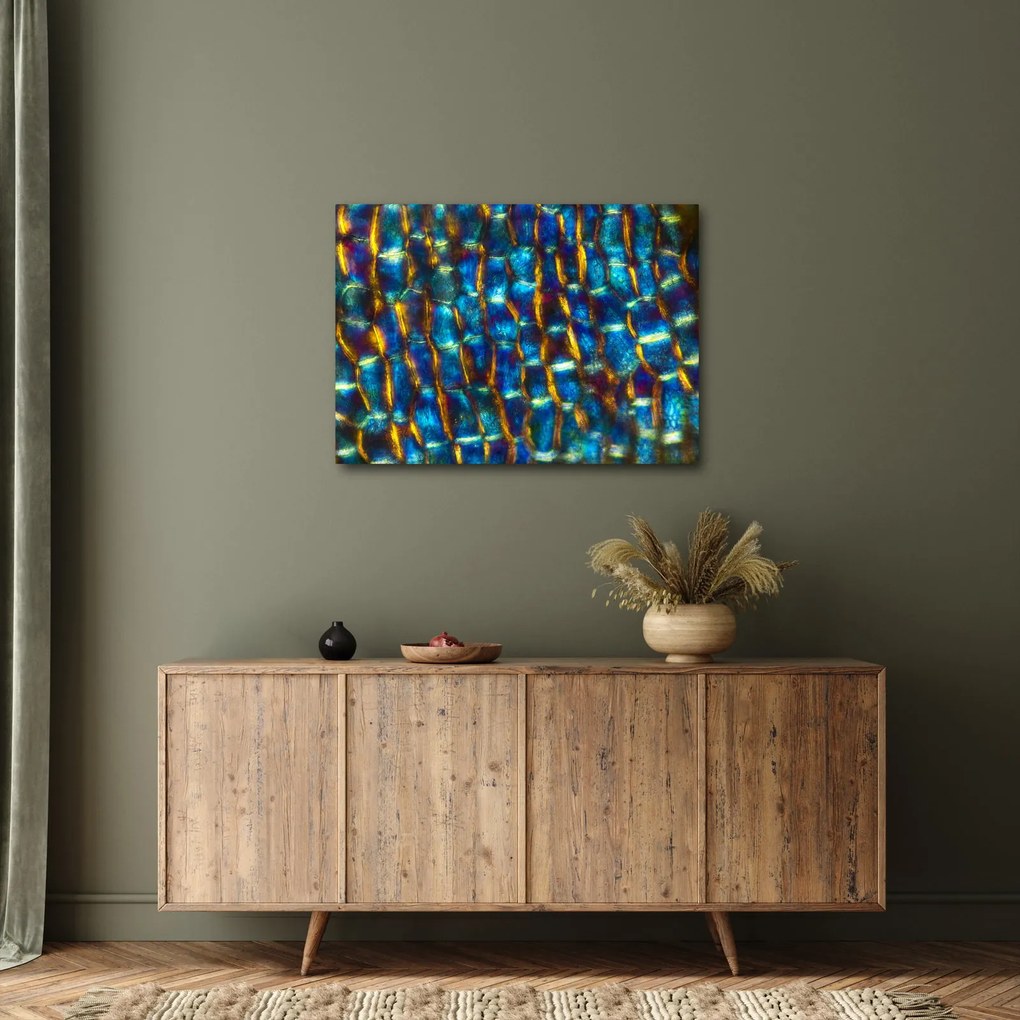Kép - Sejtfal (70x50 cm)