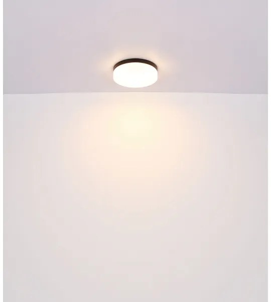 Globo 32112B - Fürdőszobai lámpa VRANOS 2xE27/60W/230V átm. 24 cm IP44