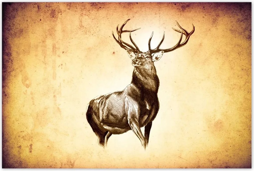 Poszterek 120x80 Szarvas szarvakkal