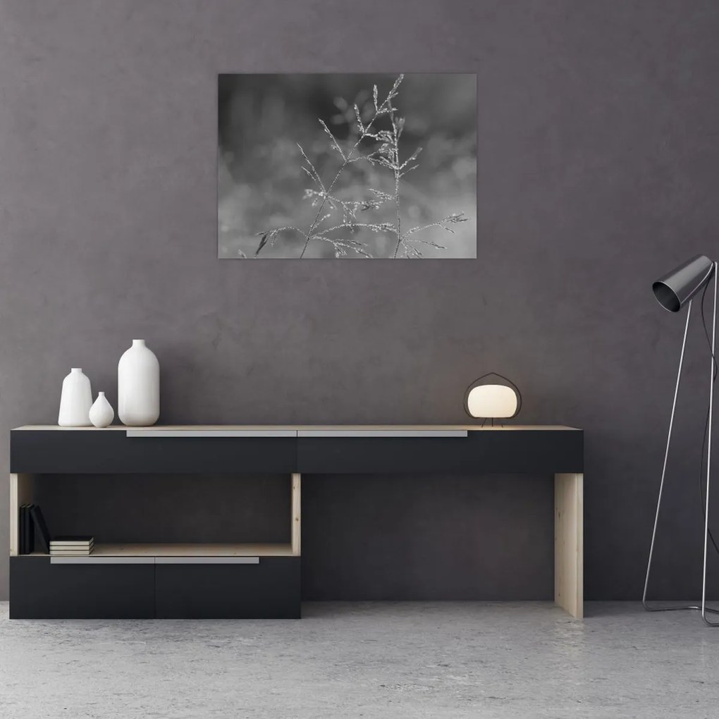 Üveg kép - Vidéki rét (70x50 cm)