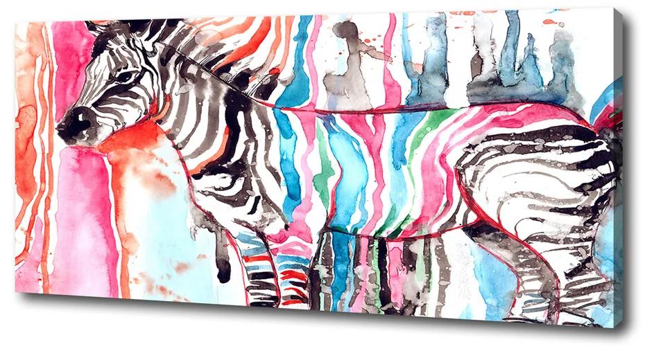 Vászonkép nyomtatás Színes zebra pl-oc-125x50-f-87232366