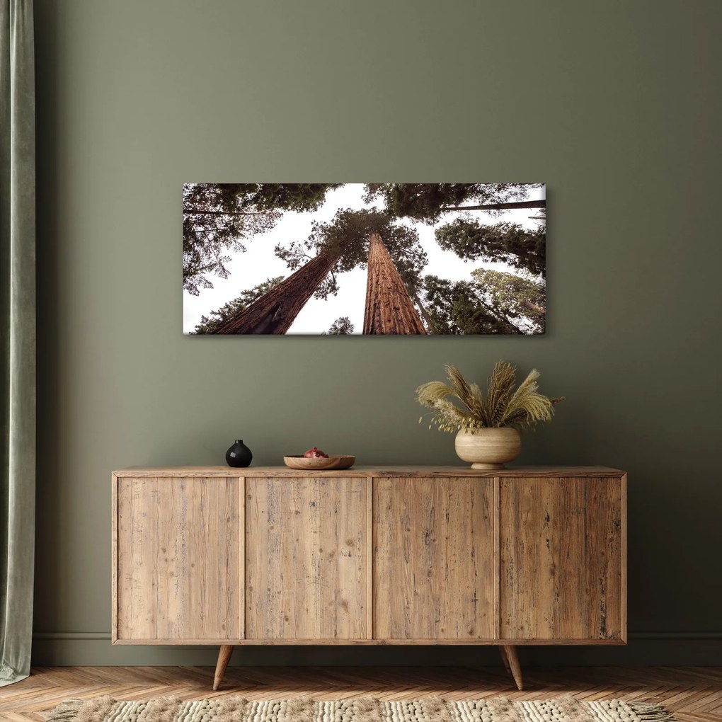 Kép - Kilátás a fák között (120x50 cm)