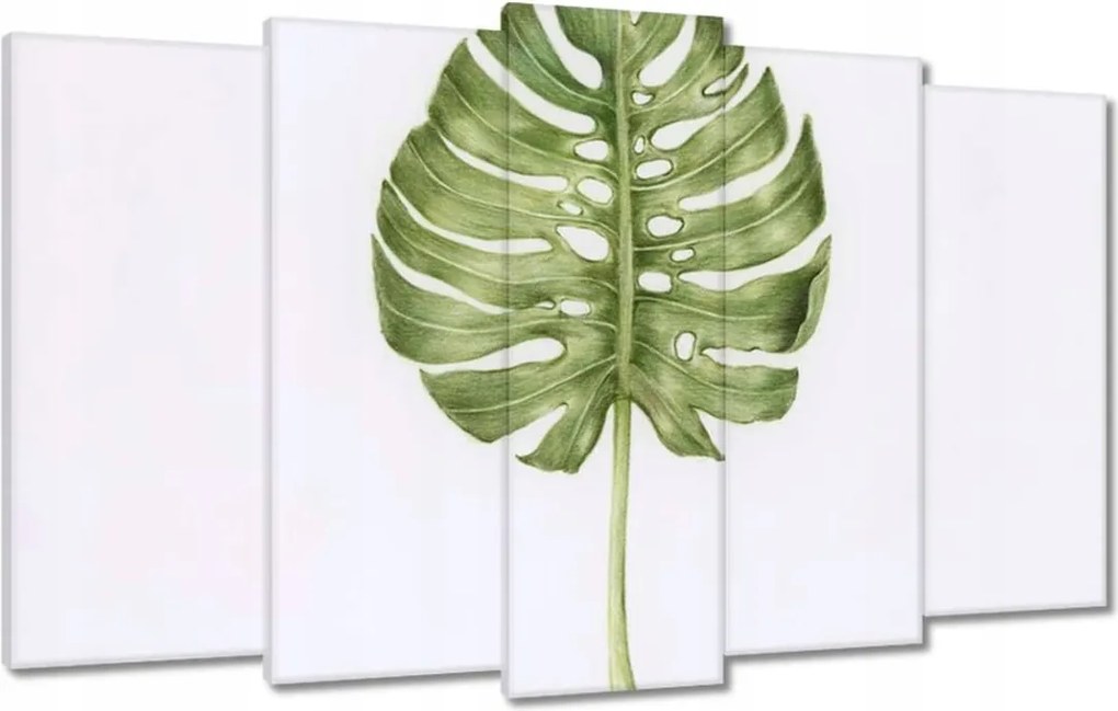 Vászonkép 100x60 Monsera levél lyukas