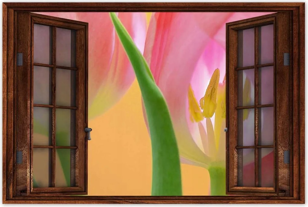 Poszterek 90x60 Rózsaszín tulipánok