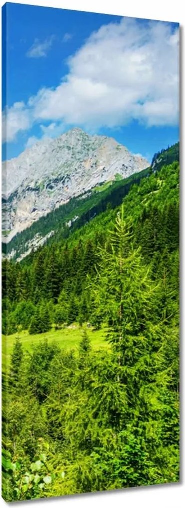 Vászonkép 40x100 Hegyi táj gyönyörű felhőkkel Fák a hegyekben