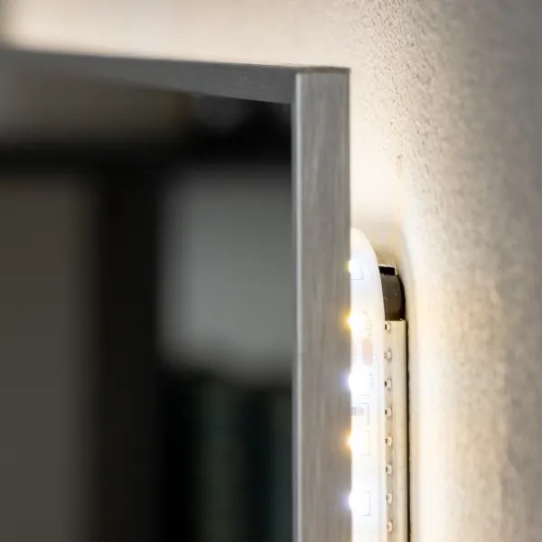 BRILAGI - LED fürdőszobai tükör DESIO LED/30W/230V 60x90 cm IP44 CRI 90 dimmelhető + CCT