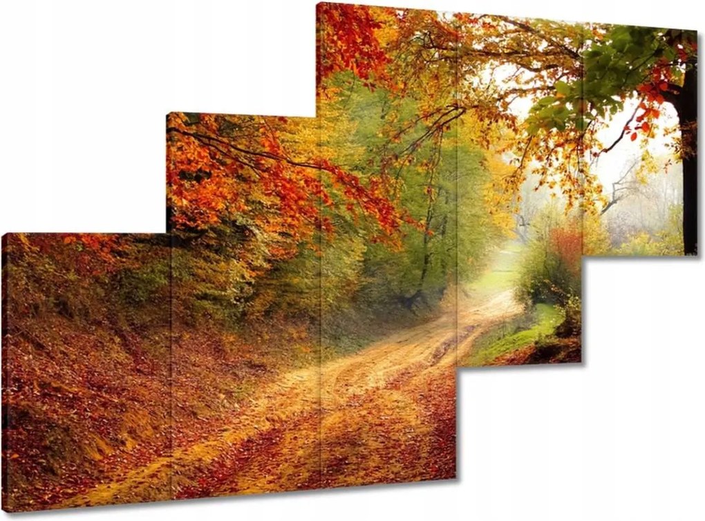 Képek 150x105 Út az erdőben ősz