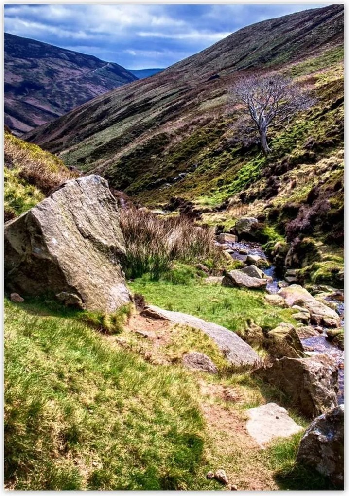 Poszterek 70x100 Hegyi patak