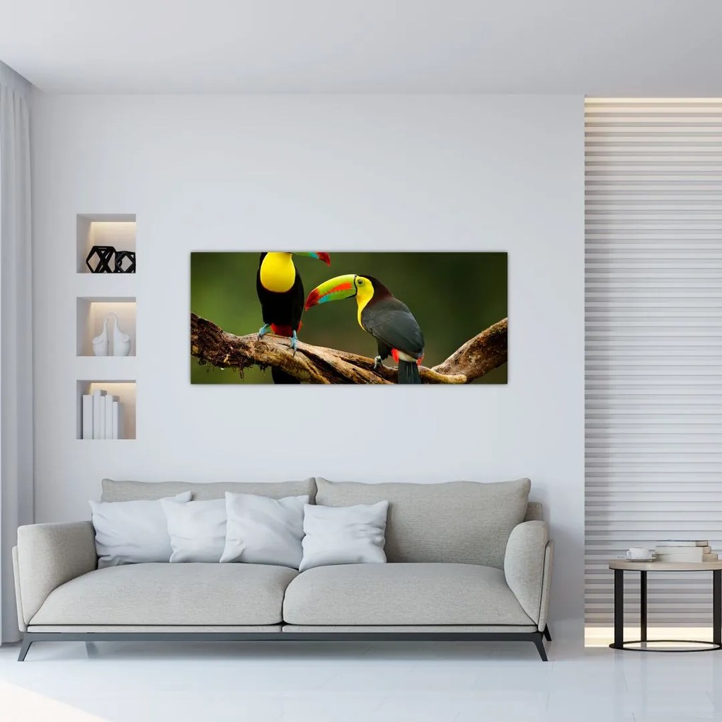 Ülő tukánok képe, Costa Rica (120x50 cm)