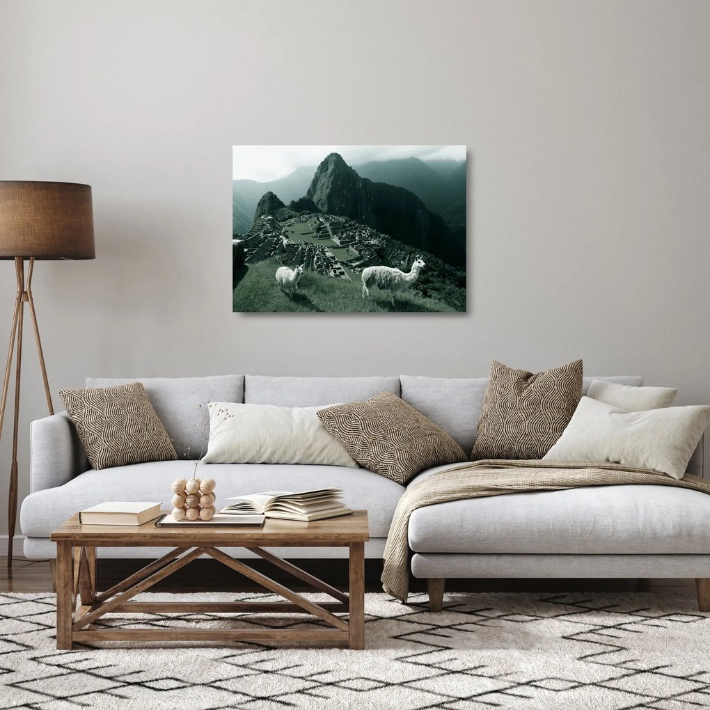 Üveg kép - Lámák a perui Machu Picchunál (70x50 cm)