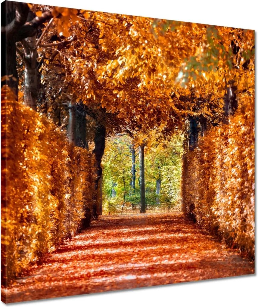 Vászonkép 50x50 Tájkép Látvány