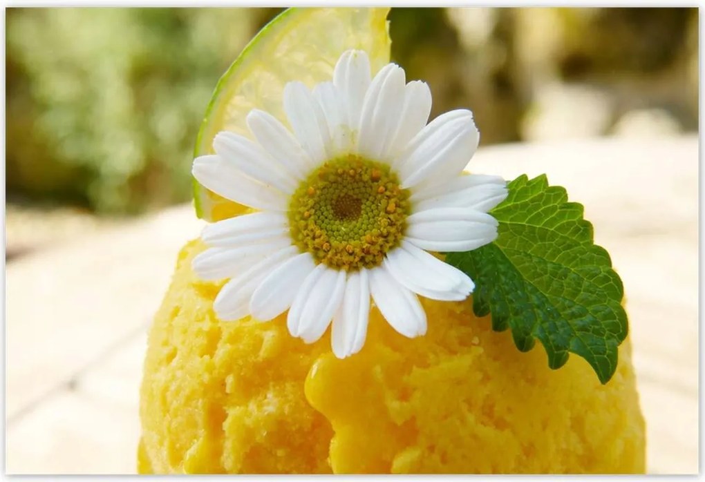 Poszterek 185x125 Gyümölcsös sárgabarack fagylalt