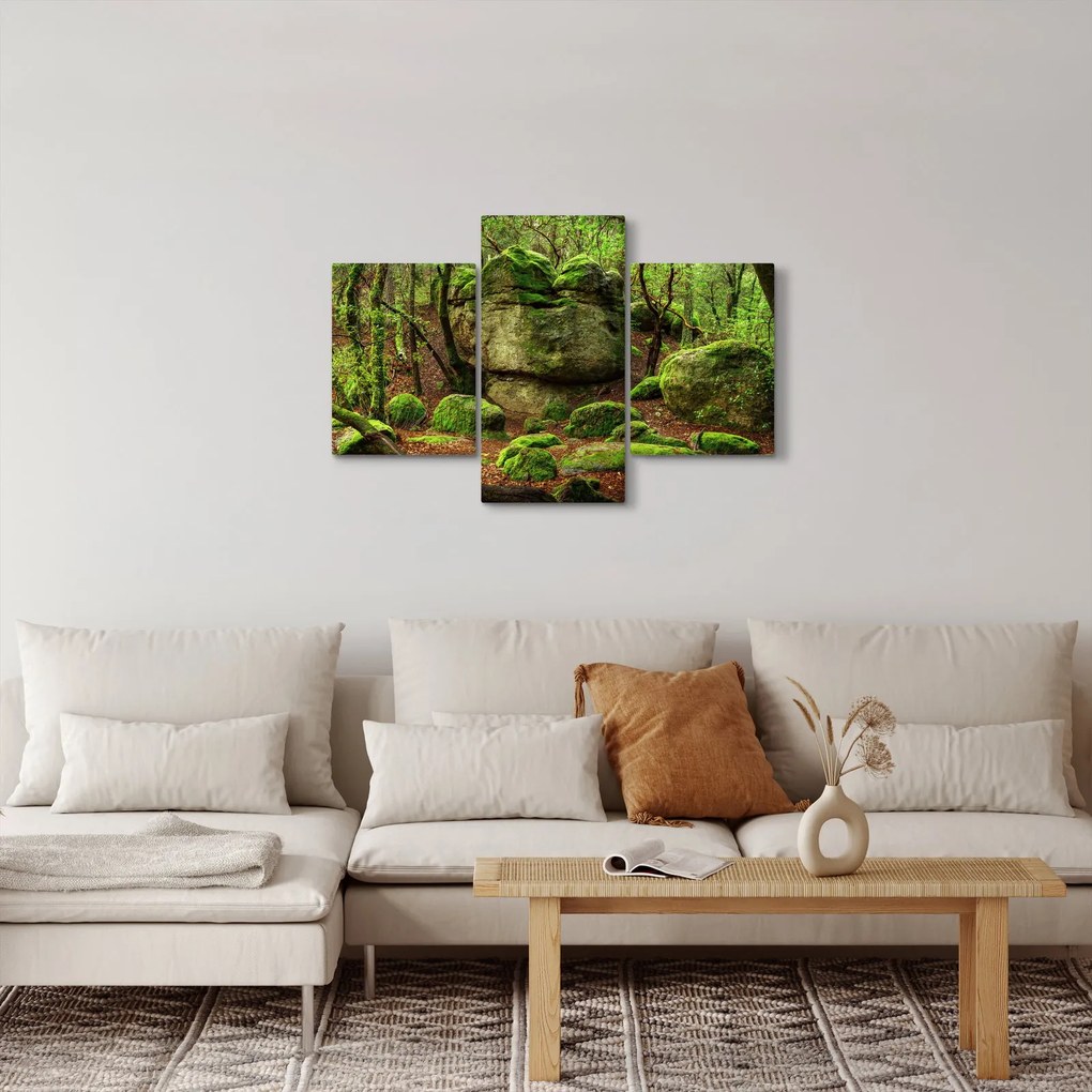 Egy varázslatos erdő képe (90x60 cm)