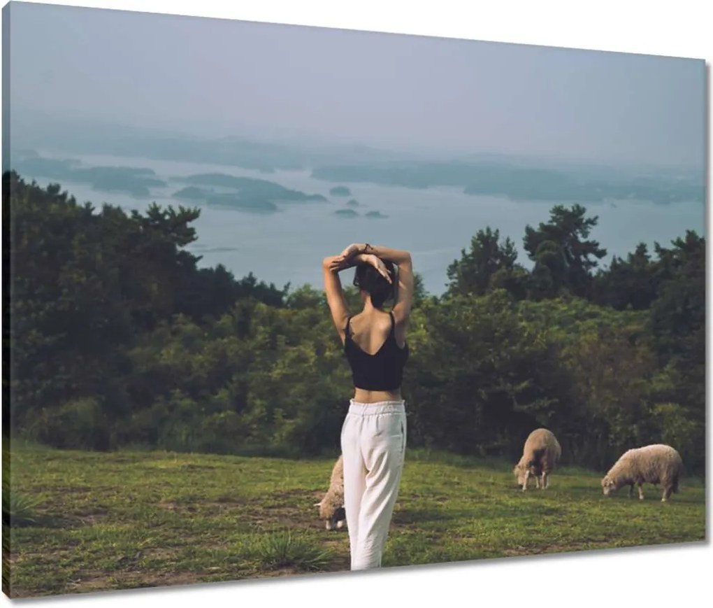 Vászonkép 80x60 Juh legeltetés Bárányok Juhok