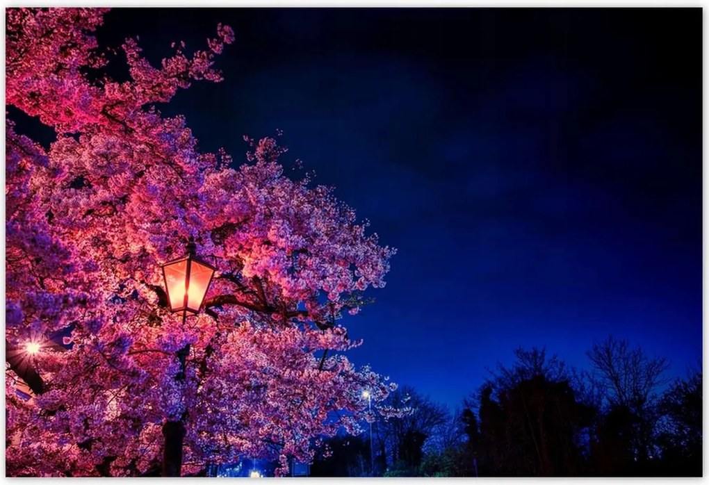 Poszterek 185x125 Hálószoba motívum Lámpa