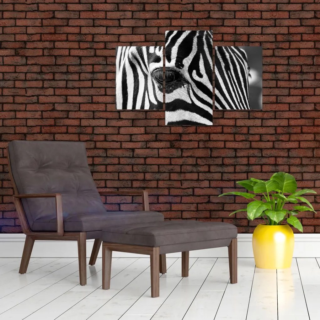 Zebra képe (90x60 cm)