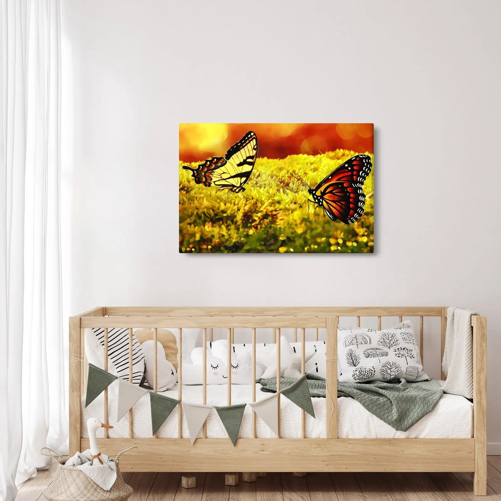Pillangó képe (90x60 cm)