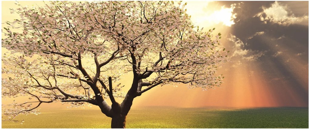 Fa képe a réten (120x50 cm)