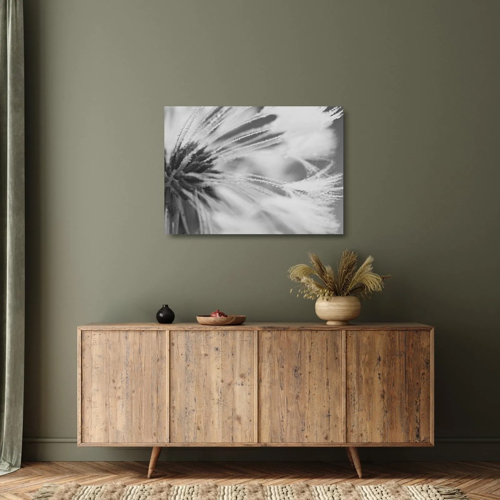 Üveg kép - Pitypang (70x50 cm)