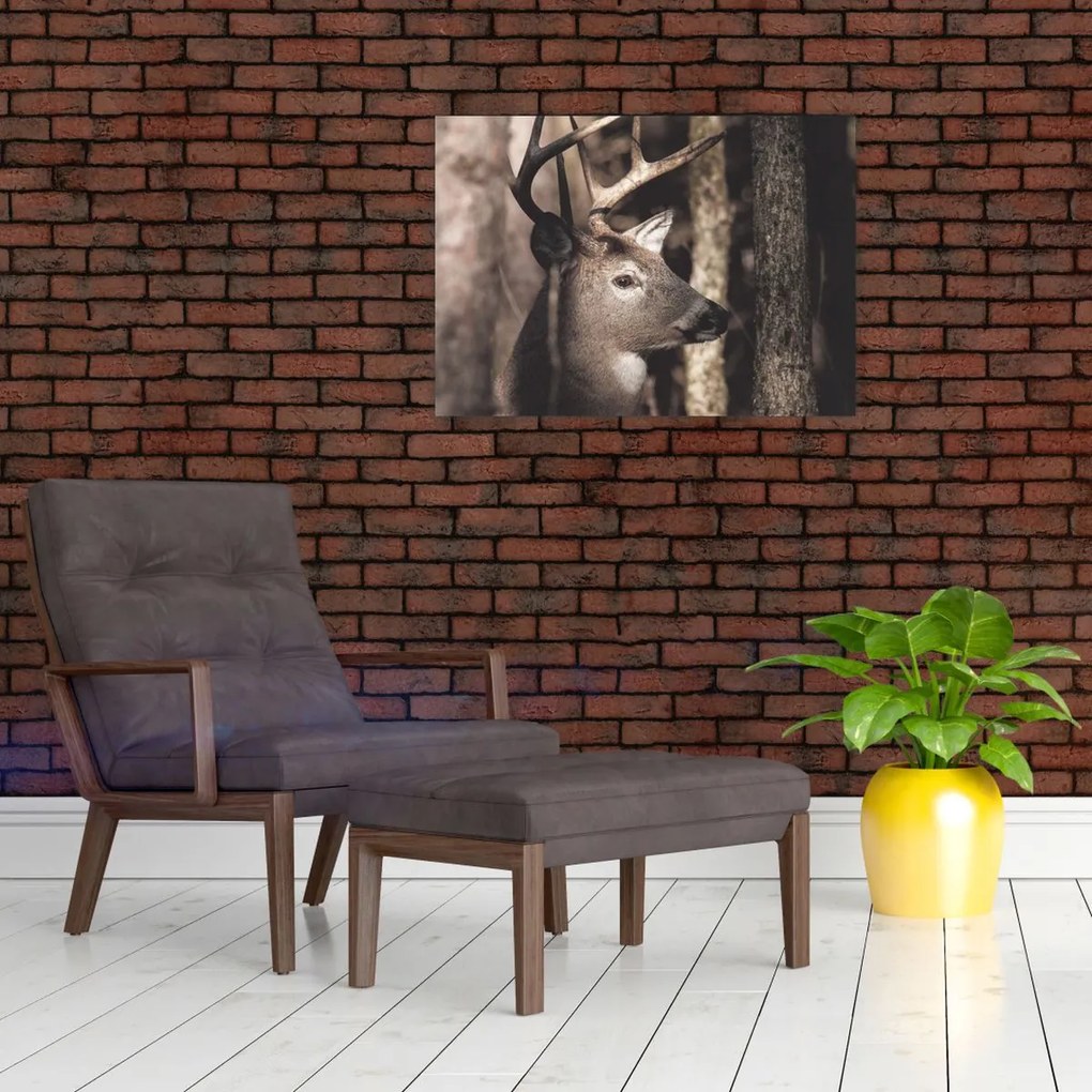 Kép - Szarvas az erdőben (70x50 cm)