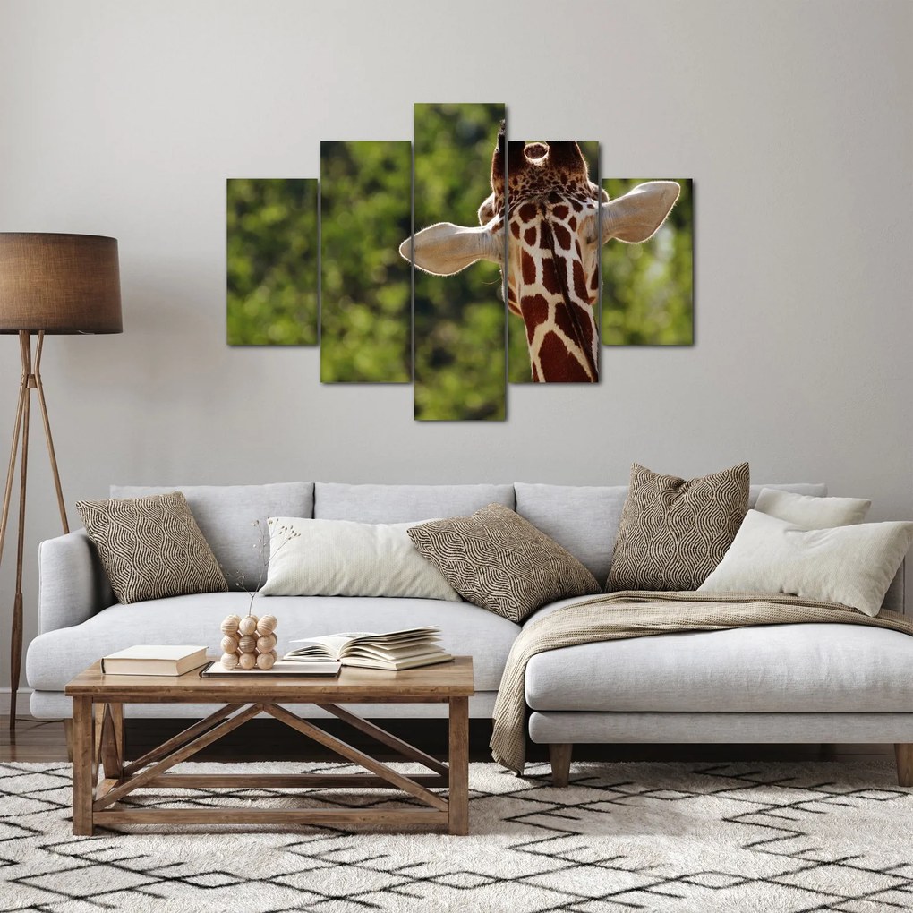 A zsiráf képe hátulról (150x105 cm)