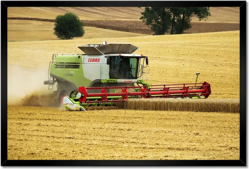 Poszter keretben 60x40 Claas kombájn kaszálja az aratást
