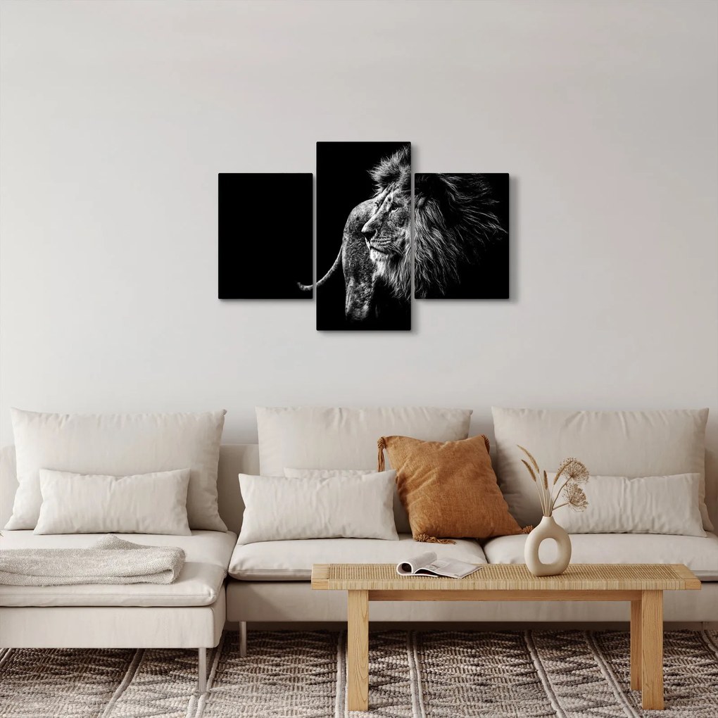 Kép - Oroszlán (90x60 cm)