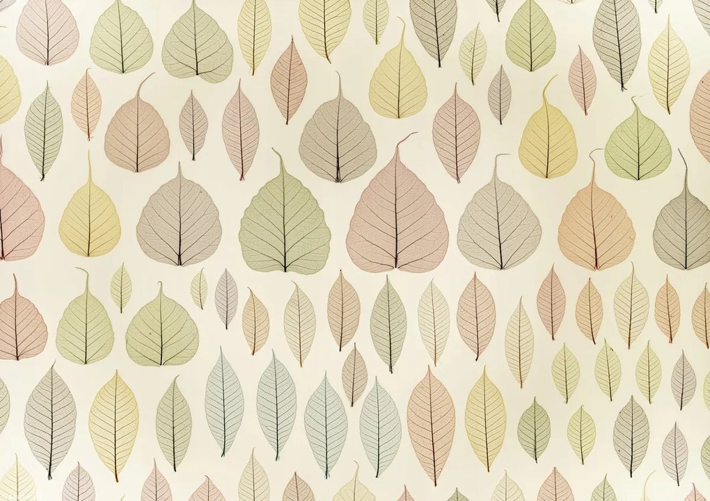 Poszter 29,7x21cm Csontváz levelek, Assaf Frank