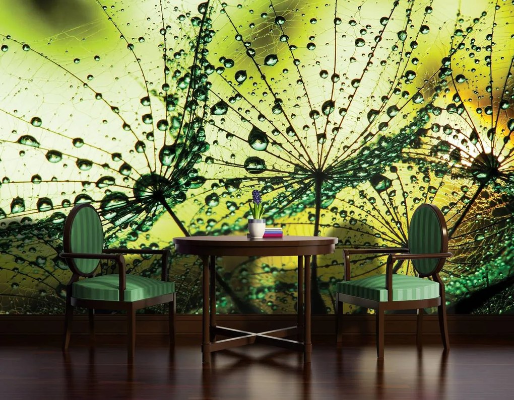 Fotótapéta - Pitypang - absztrakt - zöld (152,5x104 cm)