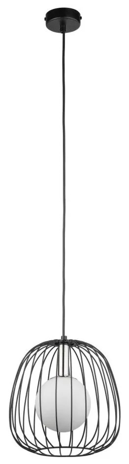 Csillár zsinóron BELL 1xG9/12W/230V átm. 24 cm fekete/fényezett króm