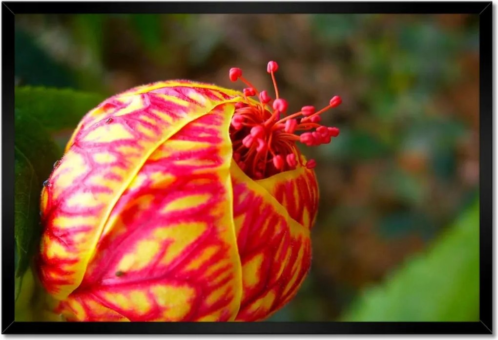 Poszterek keretben 60x40 Nőnap Ajándék Love