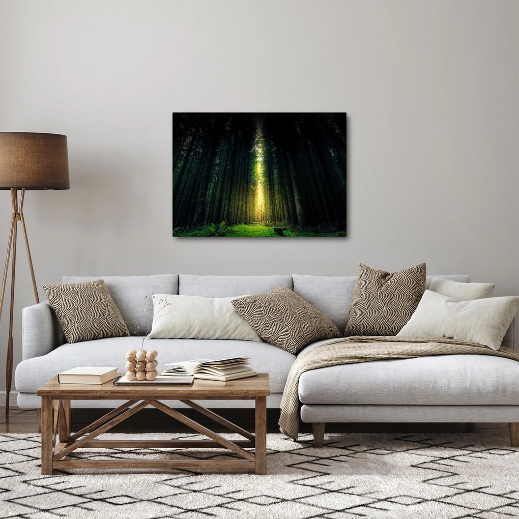 Sötét erdő képe (70x50 cm)