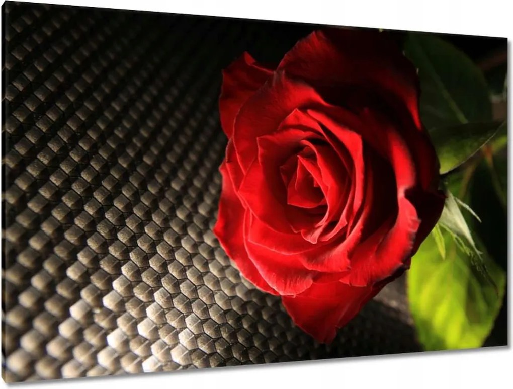 Vászonkép 120x80 Vörös rózsa levelekkel