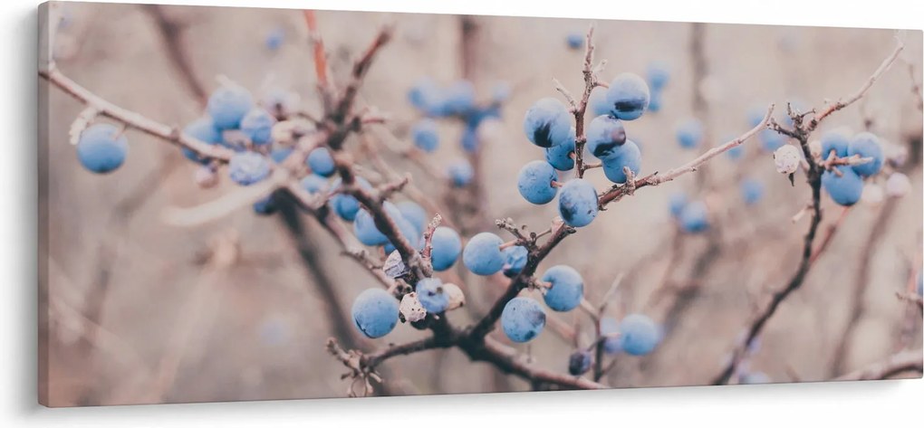 Bogyók egy bokor képe (120x50 cm)