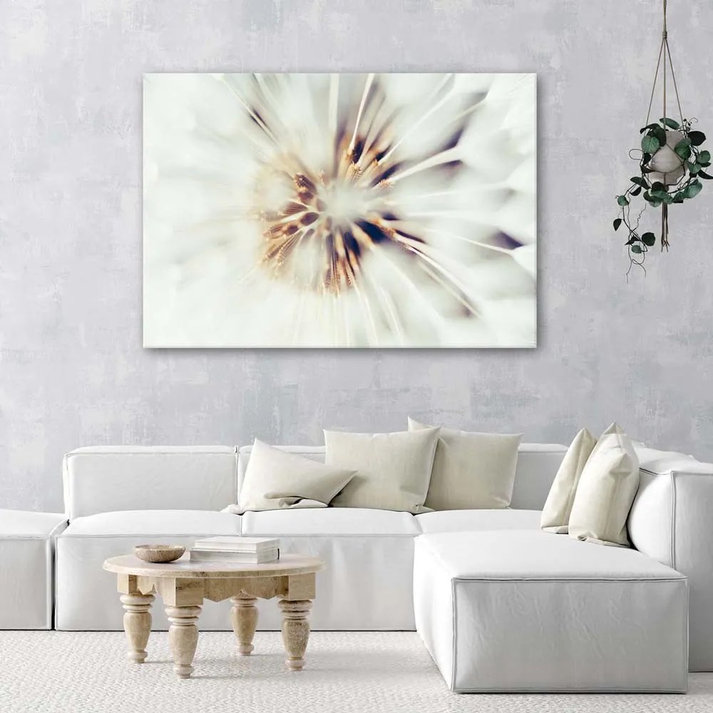 Gario Vászonkép KözelVászonkép Pitypangról Méret: 120 x 80 cm